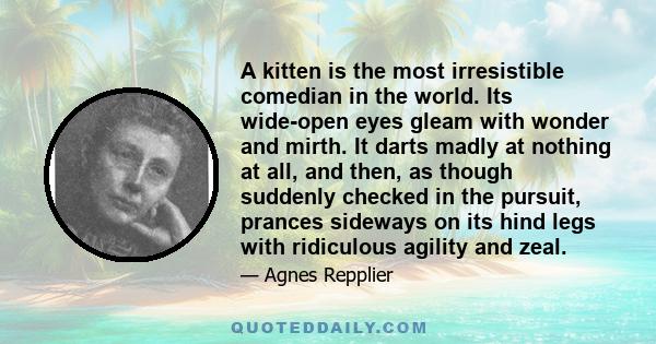 A kitten is the most irresistible comedian in the world. Its wide-open eyes gleam with wonder and mirth. It darts madly at nothing at all, and then, as though suddenly checked in the pursuit, prances sideways on its