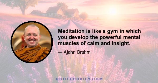 Meditation is like a gym in which you develop the powerful mental muscles of calm and insight.