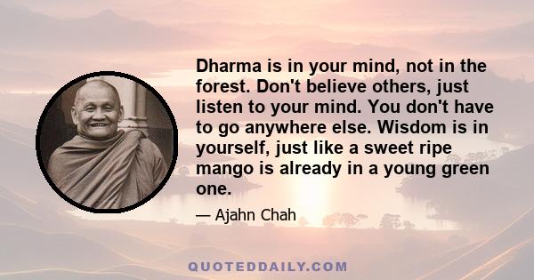 Dharma is in your mind, not in the forest. Don't believe others, just listen to your mind. You don't have to go anywhere else. Wisdom is in yourself, just like a sweet ripe mango is already in a young green one.