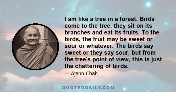 I am like a tree in a forest. Birds come to the tree, they sit on its branches and eat its fruits. To the birds, the fruit may be sweet or sour or whatever. The birds say sweet or they say sour, but from the tree's