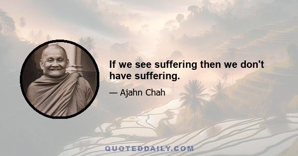 If we see suffering then we don't have suffering.