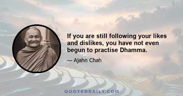 If you are still following your likes and dislikes, you have not even begun to practise Dhamma.