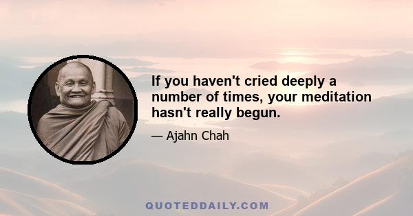 If you haven't cried deeply a number of times, your meditation hasn't really begun.