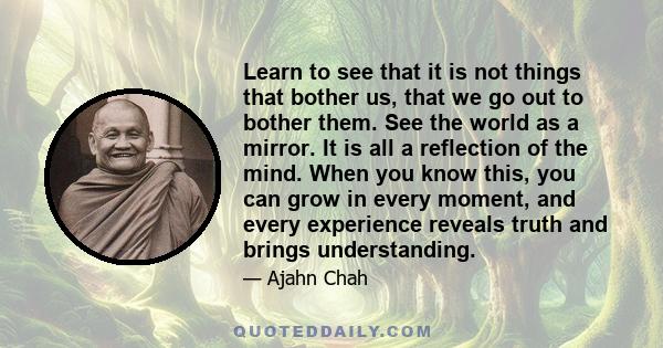 Learn to see that it is not things that bother us, that we go out to bother them. See the world as a mirror. It is all a reflection of the mind. When you know this, you can grow in every moment, and every experience