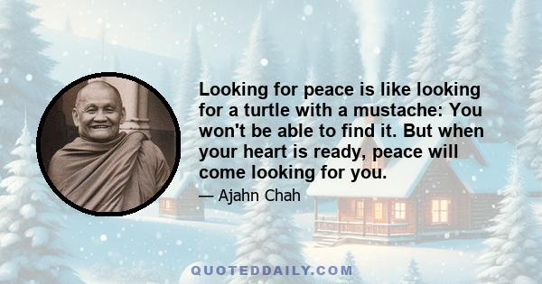 Looking for peace is like looking for a turtle with a mustache: You won't be able to find it. But when your heart is ready, peace will come looking for you.