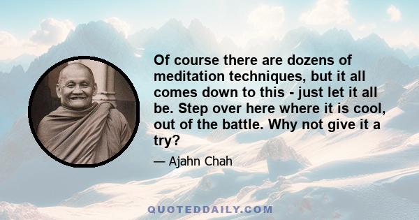 Of course there are dozens of meditation techniques, but it all comes down to this - just let it all be. Step over here where it is cool, out of the battle. Why not give it a try?