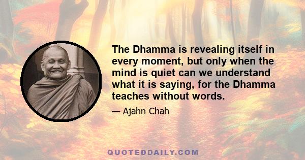 The Dhamma is revealing itself in every moment, but only when the mind is quiet can we understand what it is saying, for the Dhamma teaches without words.