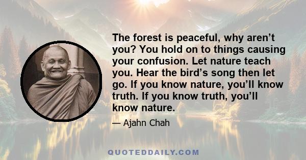 The forest is peaceful, why aren’t you? You hold on to things causing your confusion. Let nature teach you. Hear the bird’s song then let go. If you know nature, you’ll know truth. If you know truth, you’ll know nature.