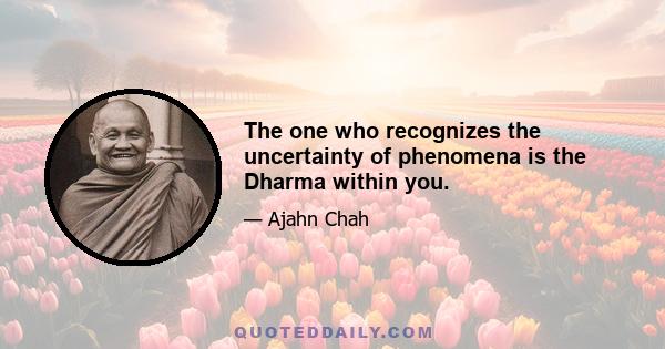 The one who recognizes the uncertainty of phenomena is the Dharma within you.