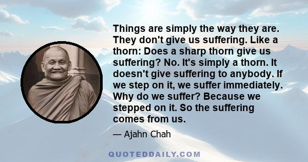 Things are simply the way they are. They don't give us suffering. Like a thorn: Does a sharp thorn give us suffering? No. It's simply a thorn. It doesn't give suffering to anybody. If we step on it, we suffer