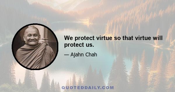 We protect virtue so that virtue will protect us.