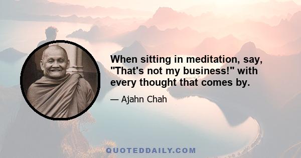 When sitting in meditation, say, That's not my business! with every thought that comes by.