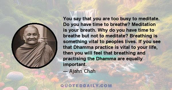 You say that you are too busy to meditate. Do you have time to breathe? Meditation is your breath. Why do you have time to breathe but not to meditate? Breathing is something vital to peoples lives. If you see that