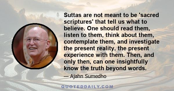 Suttas are not meant to be 'sacred scriptures' that tell us what to believe. One should read them, listen to them, think about them, contemplate them, and investigate the present reality, the present experience with