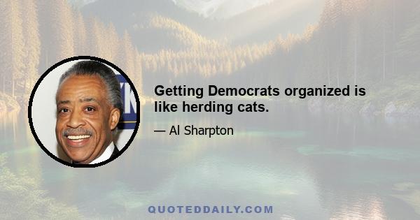 Getting Democrats organized is like herding cats.