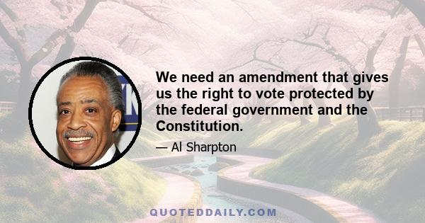 We need an amendment that gives us the right to vote protected by the federal government and the Constitution.