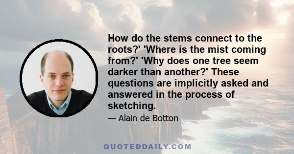 How do the stems connect to the roots?' 'Where is the mist coming from?' 'Why does one tree seem darker than another?' These questions are implicitly asked and answered in the process of sketching.