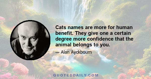 Cats names are more for human benefit. They give one a certain degree more confidence that the animal belongs to you.