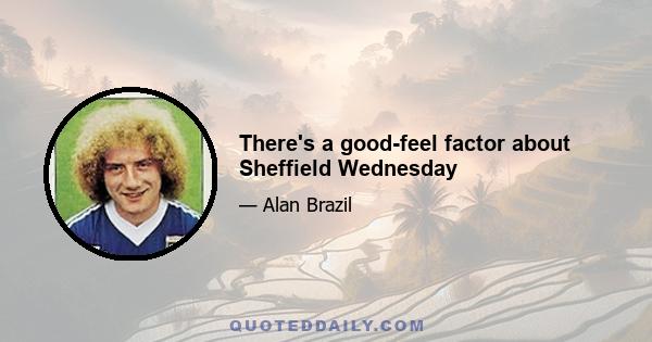 There's a good-feel factor about Sheffield Wednesday