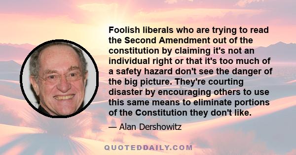 Foolish liberals who are trying to read the Second Amendment out of the constitution by claiming it's not an individual right or that it's too much of a safety hazard don't see the danger of the big picture. They're