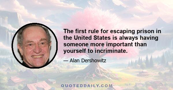 The first rule for escaping prison in the United States is always having someone more important than yourself to incriminate.