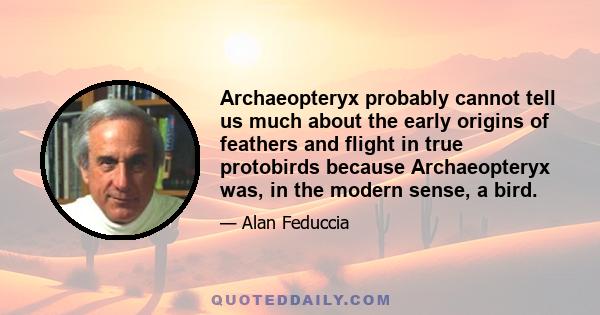 Archaeopteryx probably cannot tell us much about the early origins of feathers and flight in true protobirds because Archaeopteryx was, in the modern sense, a bird.