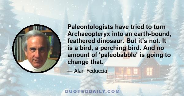 Paleontologists have tried to turn Archaeopteryx into an earth-bound, feathered dinosaur. But it's not. It is a bird, a perching bird. And no amount of 'paleobabble' is going to change that.