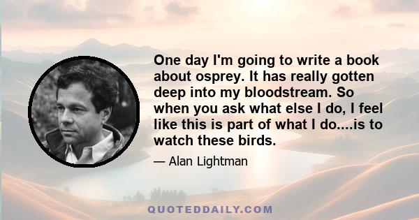 One day I'm going to write a book about osprey. It has really gotten deep into my bloodstream. So when you ask what else I do, I feel like this is part of what I do....is to watch these birds.