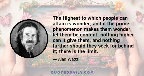 The Highest to which people can attain is wonder; and if the prime phenomenon makes them wonder, let them be content; nothing higher can it give them, and nothing further should they seek for behind it; there is the