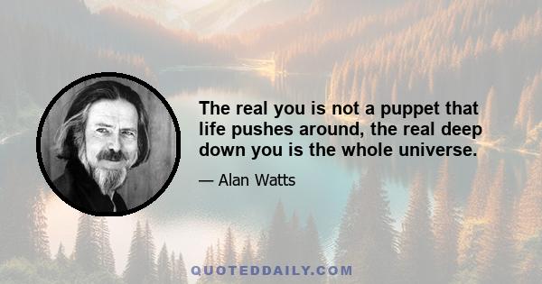 The real you is not a puppet that life pushes around, the real deep down you is the whole universe.