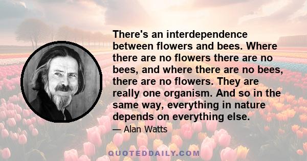 There's an interdependence between flowers and bees. Where there are no flowers there are no bees, and where there are no bees, there are no flowers. They are really one organism. And so in the same way, everything in