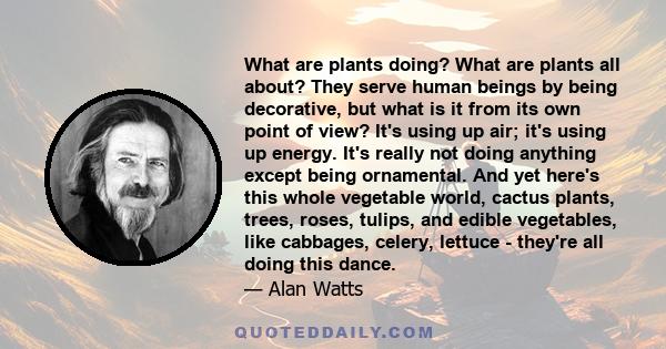 What are plants doing? What are plants all about? They serve human beings by being decorative, but what is it from its own point of view? It's using up air; it's using up energy. It's really not doing anything except