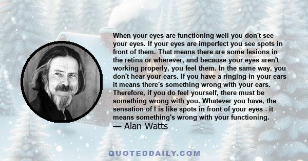 When your eyes are functioning well you don't see your eyes. If your eyes are imperfect you see spots in front of them. That means there are some lesions in the retina or wherever, and because your eyes aren't working