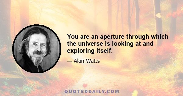 You are an aperture through which the universe is looking at and exploring itself.