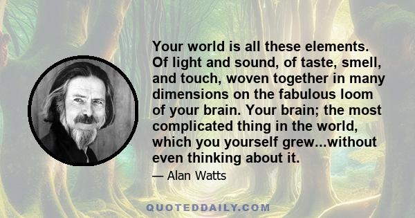 Your world is all these elements. Of light and sound, of taste, smell, and touch, woven together in many dimensions on the fabulous loom of your brain. Your brain; the most complicated thing in the world, which you