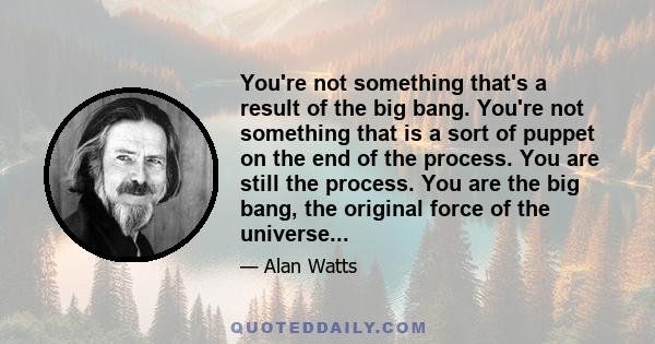 You're not something that's a result of the big bang. You're not something that is a sort of puppet on the end of the process. You are still the process. You are the big bang, the original force of the universe...