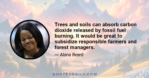 Trees and soils can absorb carbon dioxide released by fossil fuel burning. It would be great to subsidize responsible farmers and forest managers.