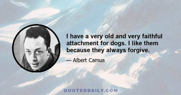 I have a very old and very faithful attachment for dogs. I like them because they always forgive.