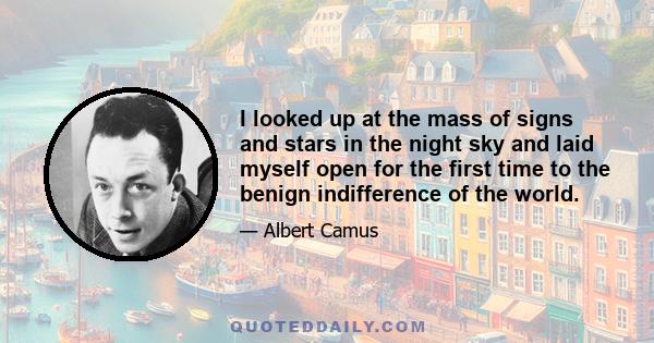 I looked up at the mass of signs and stars in the night sky and laid myself open for the first time to the benign indifference of the world.