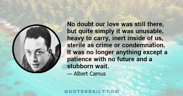 No doubt our love was still there, but quite simply it was unusable, heavy to carry, inert inside of us, sterile as crime or condemnation. It was no longer anything except a patience with no future and a stubborn wait.