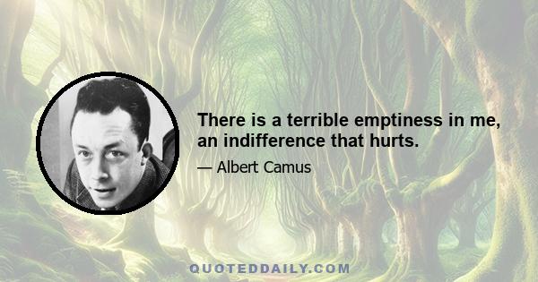 There is a terrible emptiness in me, an indifference that hurts.