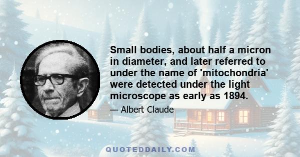 Small bodies, about half a micron in diameter, and later referred to under the name of 'mitochondria' were detected under the light microscope as early as 1894.