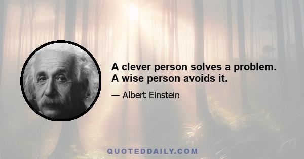 A clever person solves a problem. A wise person avoids it.