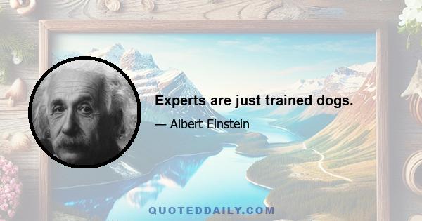 Experts are just trained dogs.