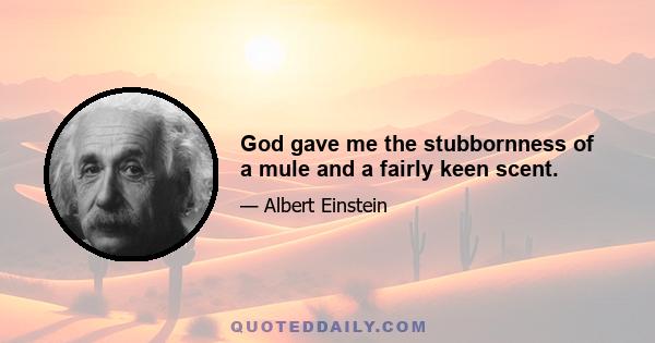 God gave me the stubbornness of a mule and a fairly keen scent.