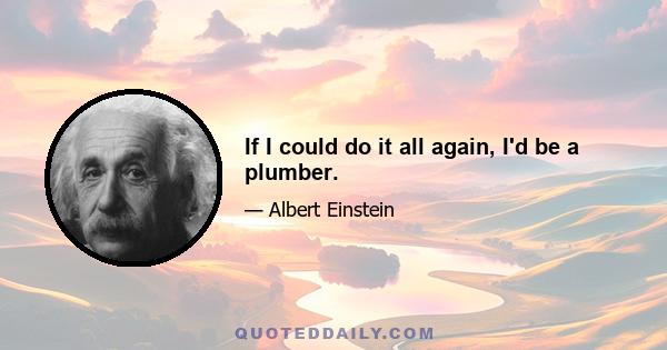 If I could do it all again, I'd be a plumber.