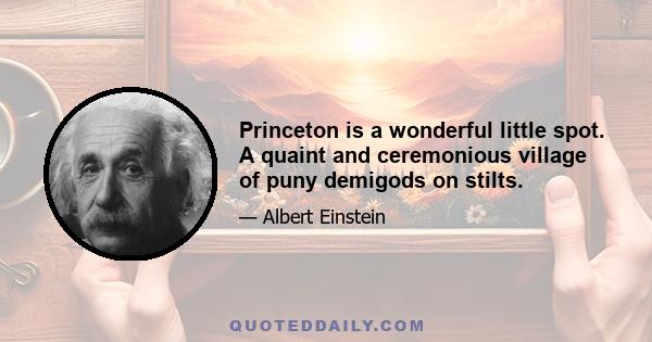 Princeton is a wonderful little spot. A quaint and ceremonious village of puny demigods on stilts.