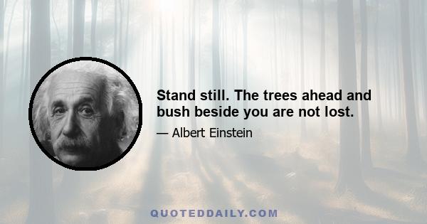 Stand still. The trees ahead and bush beside you are not lost.