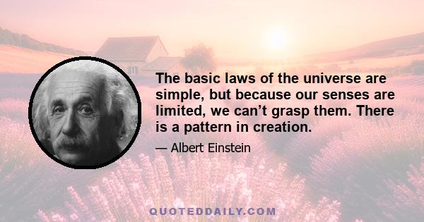 The basic laws of the universe are simple, but because our senses are limited, we can’t grasp them. There is a pattern in creation.