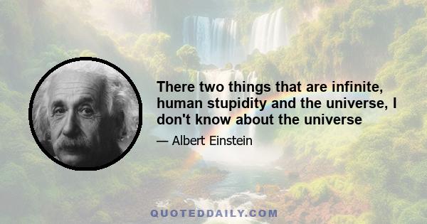 There two things that are infinite, human stupidity and the universe, I don't know about the universe